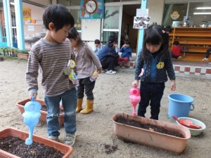 球根植え (6)