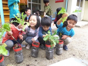 大根の収穫 (2)