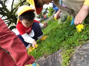 賀茂川お散歩 (11)