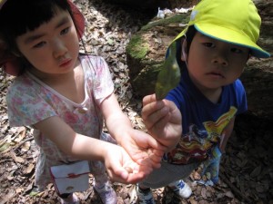 神社お散歩 (42)