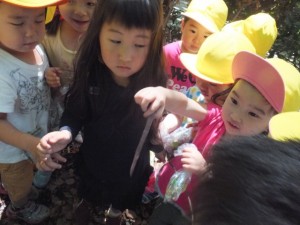 神社お散歩 (4)