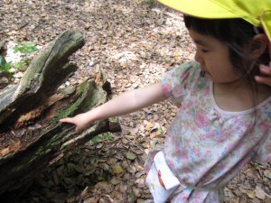 神社お散歩 (33)