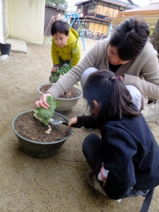 クッキング前日 (10)