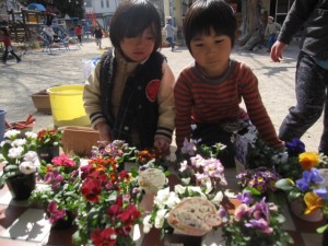 お花植え (6)