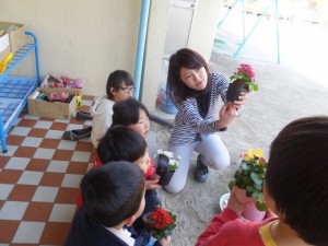 お花植え (11)