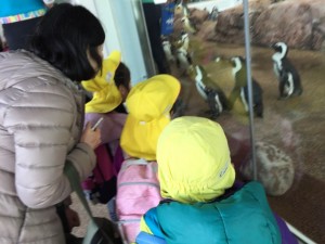 さよなら遠足 (62)