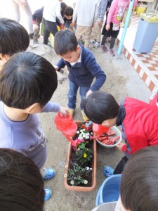 お花植え (14)