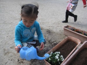 お花植え (4)