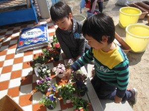 お花植え (3)