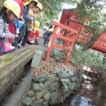 ひよこ組　どんぐり拾いに行ってどんぐりケーキを作ったよ♪