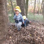 ひよこ組　下鴨神社お散歩 １２月１０日（木）
