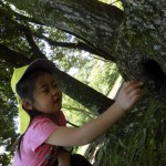 ひかり組　乗馬体験　５月１８日(水）