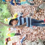 ひよこ組、ことり組　下鴨神社へお散歩　５月17日