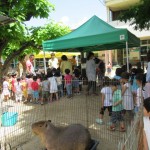 移動動物園　６月２日（金）