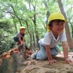 ひよこ組　下鴨神社へお散歩　６月２０日（火）