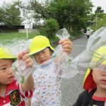 ことり組　大根の種まき&お散歩 　９月２０日（水）