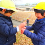 ひかり組　凧揚げ　1月16日（火）