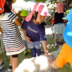 移動動物園　５月２１日（月）