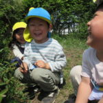 ひかり組・ことり組お散歩（賀茂川）4月20日（水）