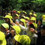 ことり組　お散歩（下鴨神社）4月28日