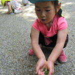 ことり組　お散歩（下鴨神社）4月28日