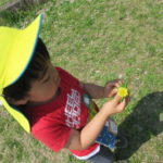 ひかり組・ことり組お散歩（賀茂川）4月20日（水）