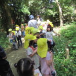ことり組　お散歩（下鴨神社）4月28日