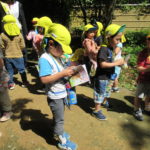 ことり組　お散歩（下鴨神社）4月28日