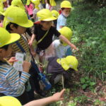 ことり組　お散歩（下鴨神社）4月28日