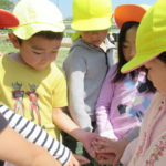 ひかり組・ことり組お散歩（賀茂川）4月20日（水）