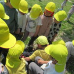 ひかり組・ことり組お散歩（賀茂川）4月20日（水）