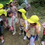 ひよこ組　下鴨神社散歩　２０２２年５月１６日(月)