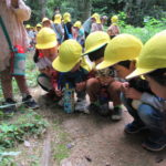 ひよこ組　下鴨神社散歩　２０２２年５月１６日(月)
