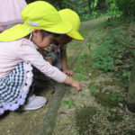 ひよこ組　下鴨神社散歩　２０２２年５月１６日(月)