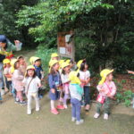 ひよこ組　下鴨神社散歩　２０２２年５月１６日(月)