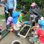 たんぽぽ組　苗植え、種まき　5月１0日（火）１２日（木）