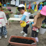 たんぽぽ組　苗植え、種まき　5月１0日（火）１２日（木）