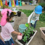 たんぽぽ組　苗植え、種まき　5月１0日（火）１２日（木）