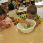 たんぽぽ組　いろいろな感触遊び　5月２０日（木）～