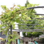 ５月９日（月）