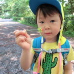 春の遠足　5月23日（月）　ひよこ・ことり・ひかり組