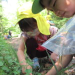 春の遠足　5月23日（月）　ひよこ・ことり・ひかり組