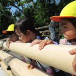 春の遠足　5月23日（月）　ひよこ・ことり・ひかり組