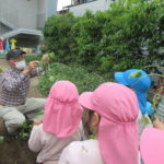 ひかり組　野菜植え　5月１０日（火）・１１日（水）