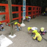 ひよこ組　下鴨神社散歩　２０２２年９月２１日