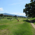 たんぽぽ組　お散歩　９月２６日（月）