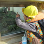 ひかり組　12月21日（水）遠足（京都市動物園）