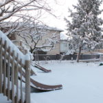 雪遊び　1月２５日（水）