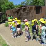 ひかり組　園児大会　２０２３年５月１１日（木）