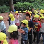 5月26日(金)　ひかり組下鴨神社お散歩